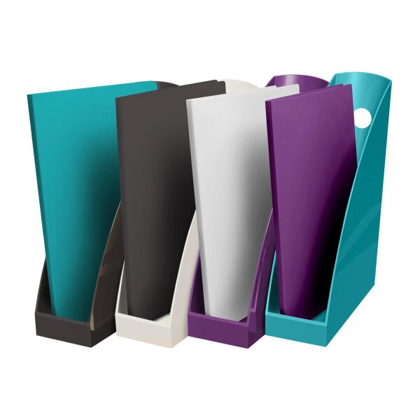 EXACOMPTA Porte-revues Titan A4+ 182101SETD Mag Cube assorti