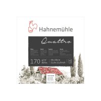 HAHNEMÜHLE Bloc à dessin Quattro 30x30cm...