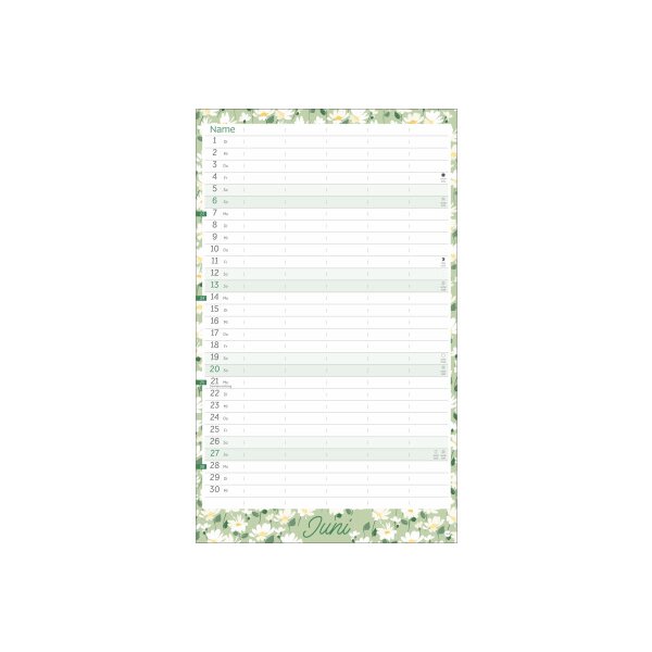 HEYE Familienplaner 2027 23697+27 Flower Time 21x45cm