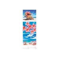 ACKERMANN Calendrier 2027 3730 BeachTime 24x66cm