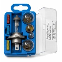 IWH Kit dampoules de rechange pour voiture H4, 8 pièces