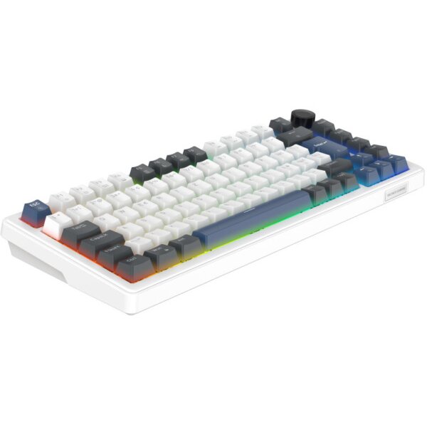 DELTACO Mech. Keyboard Gasket DK480 GAM-205-W-CH PBT keycaps,Hot-swap,WH. CH