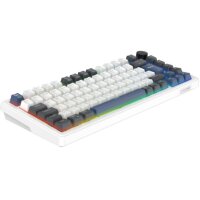 DELTACO Mech. Keyboard Gasket DK480 GAM-205-W-CH PBT keycaps,Hot-swap,WH. CH