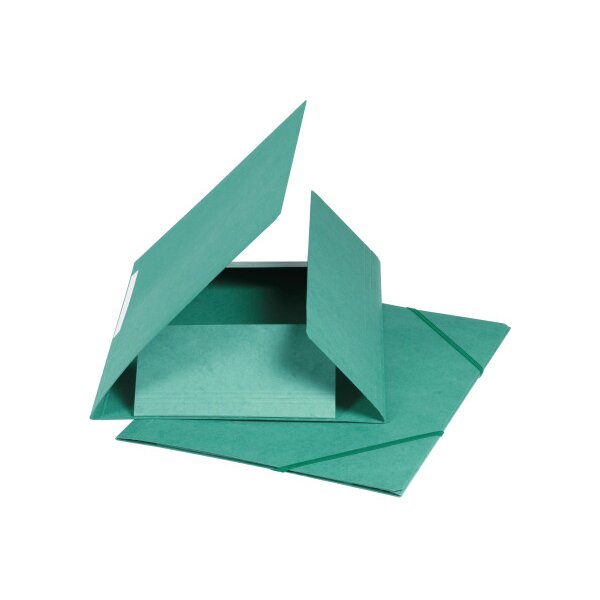 BIELLA Gummibandmappe A4 17840030U grün, 590gm2 220 Bl.