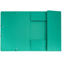 BIELLA Gummibandmappe A4 17840030U grün, 590gm2 220 Bl.