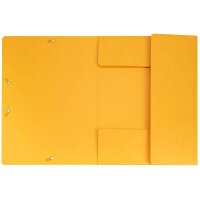BIELLA Gummibandmappe A4 17840020U gelb, 590gm2 220 Bl.