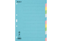 BIELLA Register Karton farbig A4 46141200U 12-teilig, blanko
