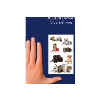 Z-DESIGN Sticker Creative 55971 Katzenkinder 21 Stück/3 Blatt