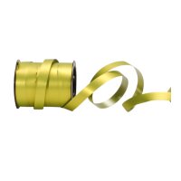 SPYK Band Poly 0246.1072 10mmx15m grün