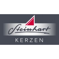 STEINHART Baumkerzen 95x13mm 02666-21 Bienenwachs 20...