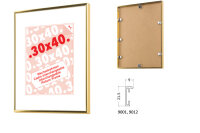 DEBEX Wechselrahmen 29,7×42cm 901201-297X4 Alu gold