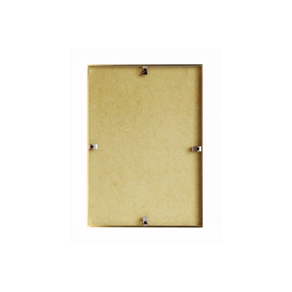 DEBEX Wechselrahmen 21x29,7cm 727002-210X2 Kunststoff gold