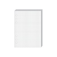 QUO-VADIS Timer21 Planing Notizen 722001Q kariert 15x21cm