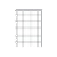 QUO-VADIS Timer21 Planing Notizen 722001Q kariert 15x21cm