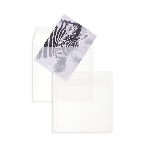 BLANKE Couvert quadratisch 160 x 160 mm ohne Fenster transparent-weiss 100g - 1 Stück