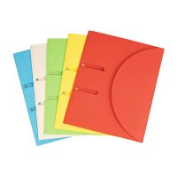 ELCO Organisationsmappe Ordo A4 29495.00 collecto,...