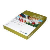 PAPYRUS Karton Bristol 50x70cm 88249315 180g, weiss 10 Blatt