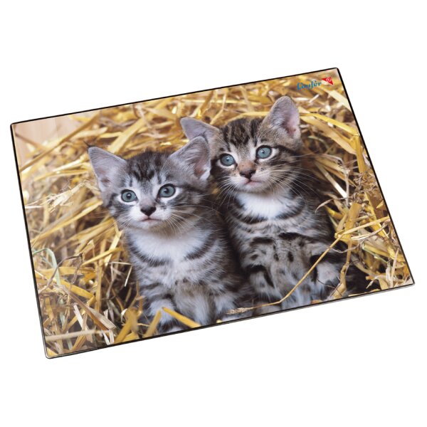 L&auml;ufer Sous-main chats dans les pailles, 400 x 530 mm