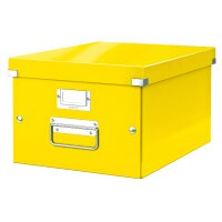 LEITZ Ablagebox Click & Store WOW, DIN A4, schwarz