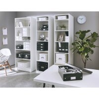LEITZ Coffret pour dossiers suspendus Click & Store,...