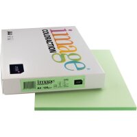 IMAGE COLORACTION Papier à copier Forest A4 266689...