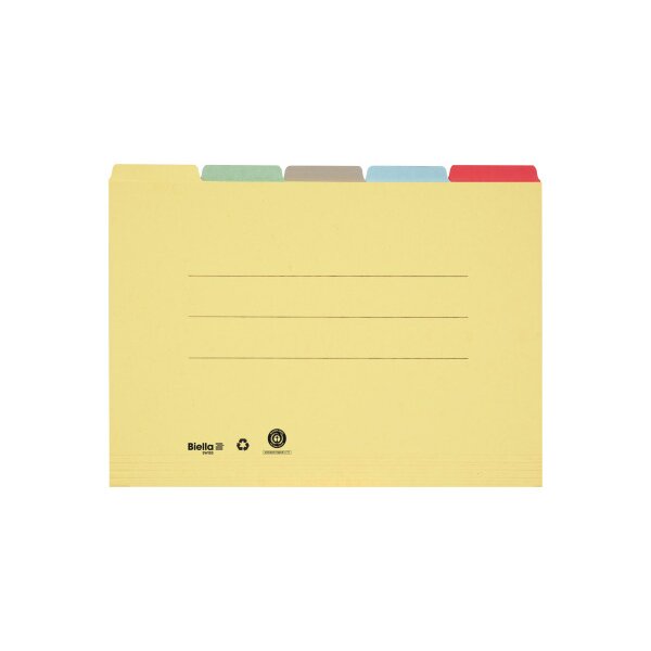 BIELLA Registermappe A4 32543200U farbig assort., 190 Bl. 5 Stk.
