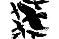 Z-DESIGN Fensterbild Vögel 4485 schwarz 1 Blatt 6 Stück