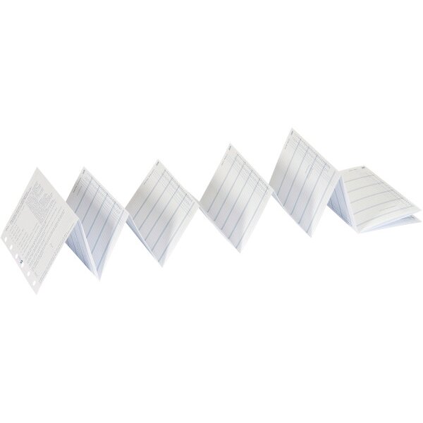 SUCCES Agenda Junior Jahrespl. 2028 842159000028U 6M/1S gefalzt 8x12.5cm