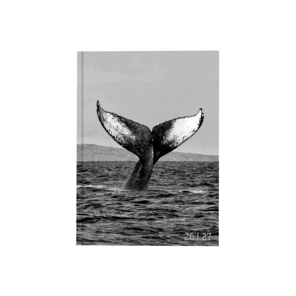 BIELLA Sch&uuml;leragenda Whale 26/27 806544860027U 1T/1S 12x16.5cm