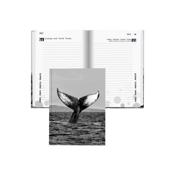 BIELLA Sch&uuml;leragenda Whale 26/27 806544860027U 1T/1S 12x16.5cm