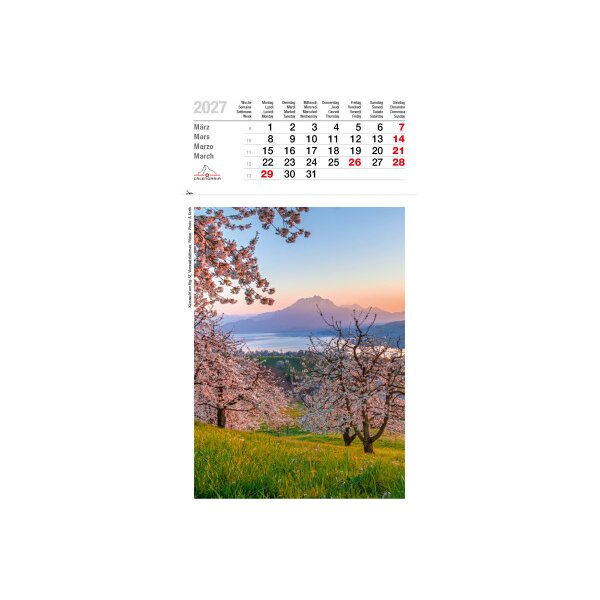 CALENDARIA Calendrier 2027 9783036206202 Helvetia ML 16.5x23cm