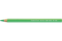 CARAN DACHE Crayon de couleur Classic 491.230 vert fluo