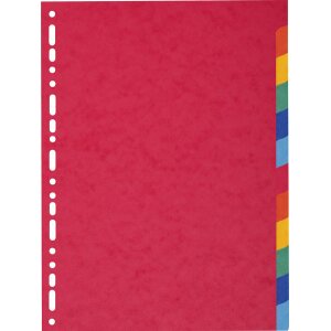 EXACOMPTA Karton-Register, DIN A4, 12-teilig