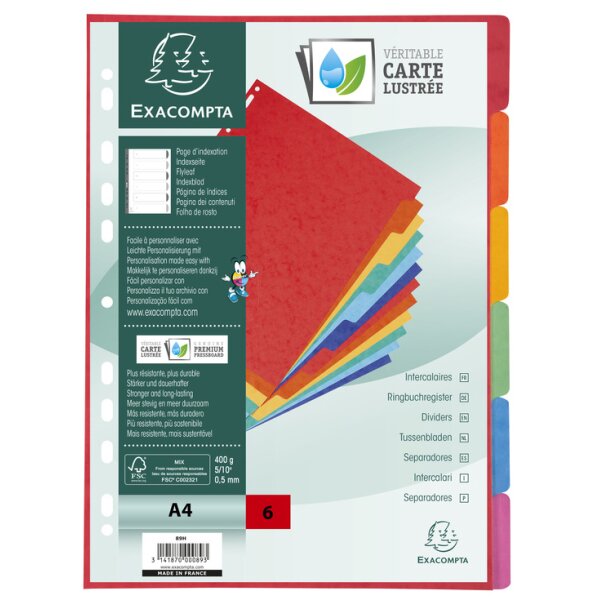 EXACOMPTA Karton-Register, DIN A4+, 6-teilig