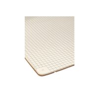 TRANSOTYPE senseBook RED RUBBER A5 75020502 kariert, M,...