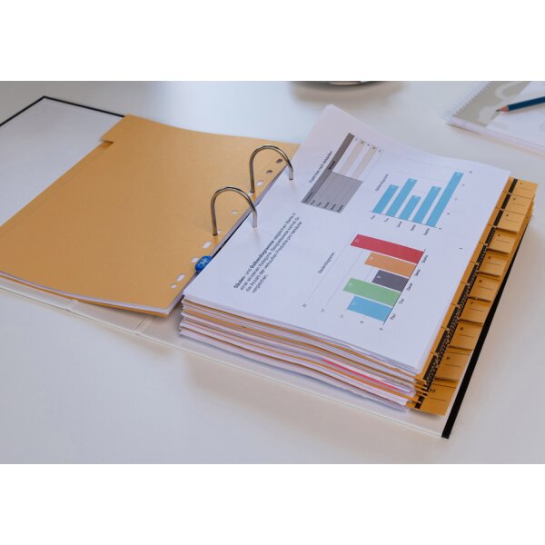 Oxford Intercalaire avec perforation, A4 extra large, vert