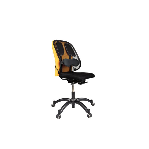 FELLOWES Rückenstütze Professional 8029901 Rückenstütze