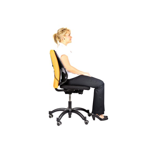 FELLOWES Rückenstütze Professional 8029901 Rückenstütze