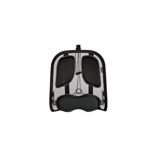 FELLOWES Rückenstütze Professional 8029901 Rückenstütze