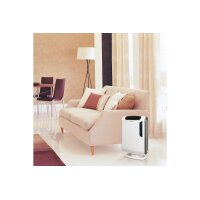 FELLOWES Purifi. dair Aeramax DX55 9393501 Charbon actif, True-HEPA