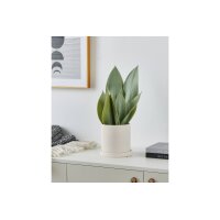 EGLO Kunstpflanze 41.5cm 428387 grün, im Topf