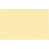 URSUS Fotokarton A3 1134611 300g, vanille 100 Blatt