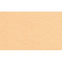 URSUS Fotokarton A3 1134616 300g, aprikot 100 Blatt