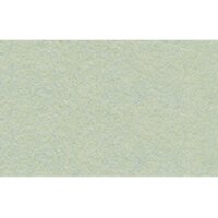 URSUS Carton photo A3 1134686 300g, gris col. 100 feuilles