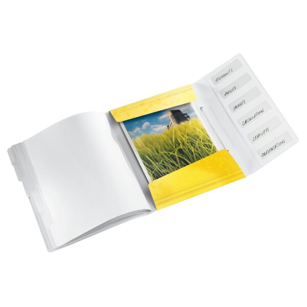 LEITZ Ordnungsmappe WOW, DIN A4, PP, 6 Fächer, eisblau