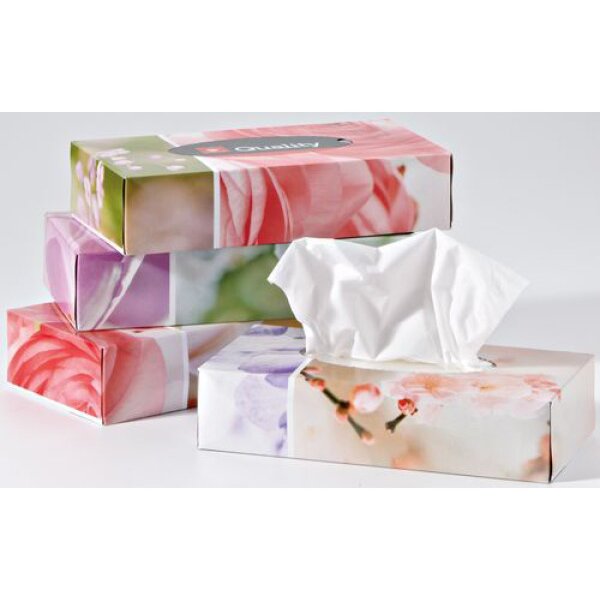 QUALITY Kosmetiktücher 992821 2-lagig 4x100 Stück