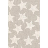 STEWO Geschenkpapier 914094 70cmx250m grau