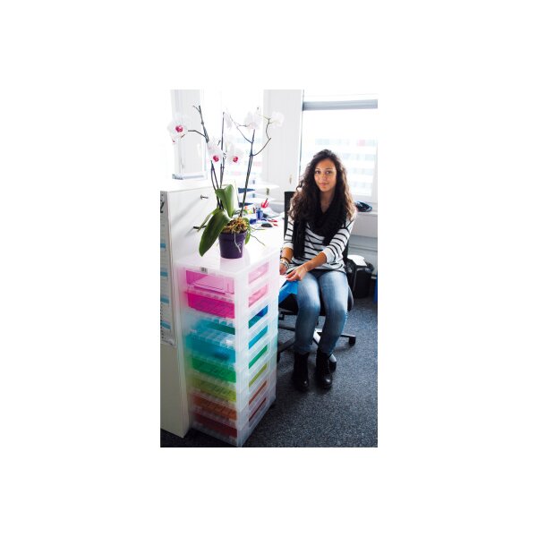 USEFULBOX Aufbewahrungsbox 30x42x92,5cm 68507600 8x7 l Schubalden