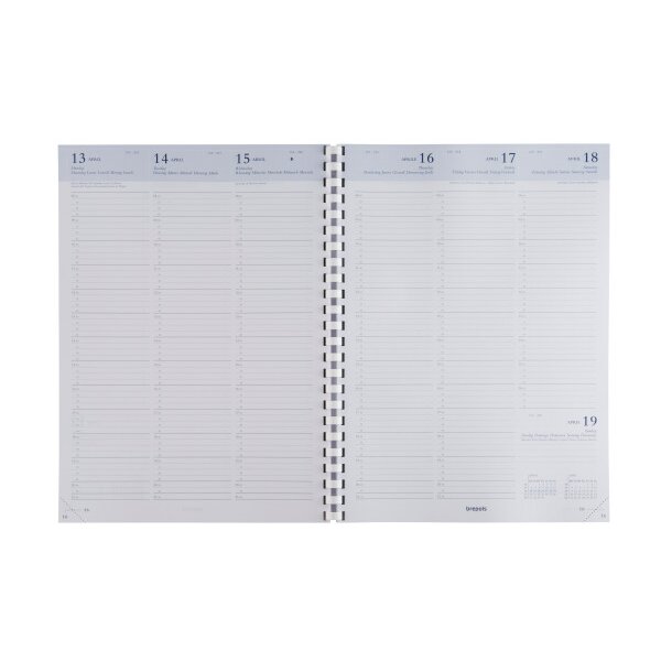 BREPOLS Agenda Omega Capri Kul. 2026 0.030.2582 1S/2P noir 21x29cm