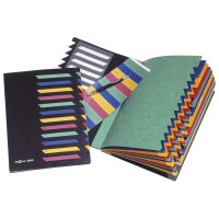 PAGNA Ordnungsmappe DESKORGANIZER 1-12, 12 Fächer,...